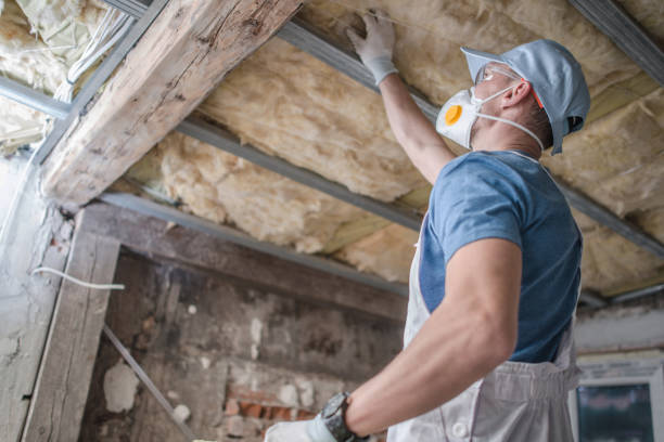 Best Residential Insulation in Henagar, AL
